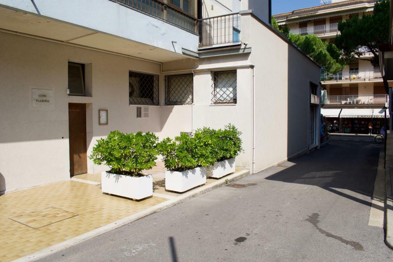 Apartment Flaminia *